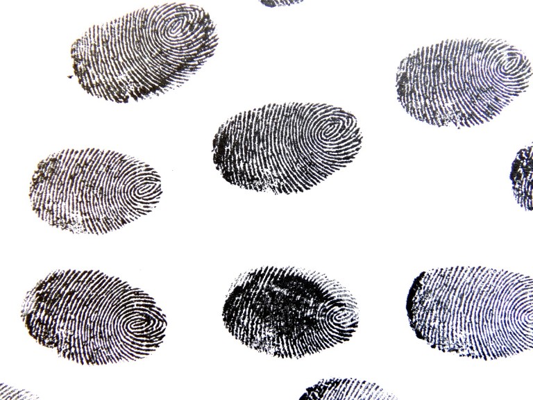 fingerprint background check near me fingerprint background check near me