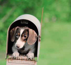 private mailbox