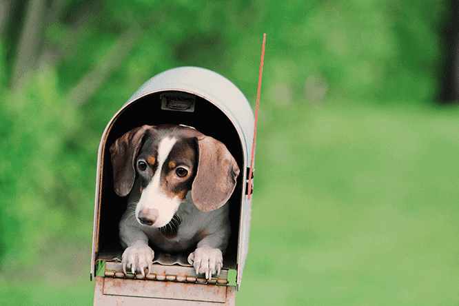 private mailbox