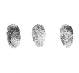 how much is live scan fingerprinting