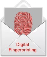 digital fingerprint